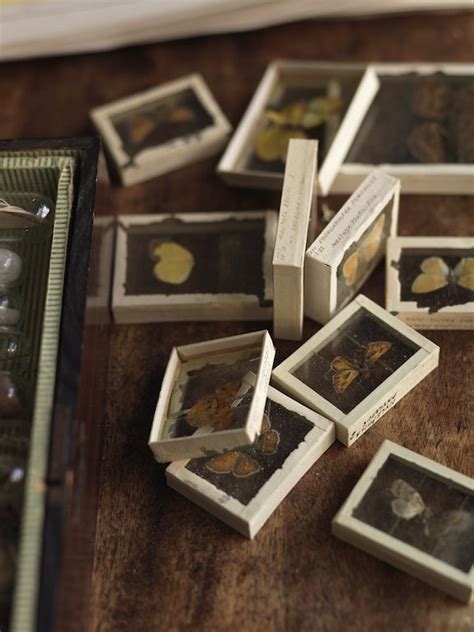 Show Off Your Rock Mineral Collection With These Display Cases Artofit