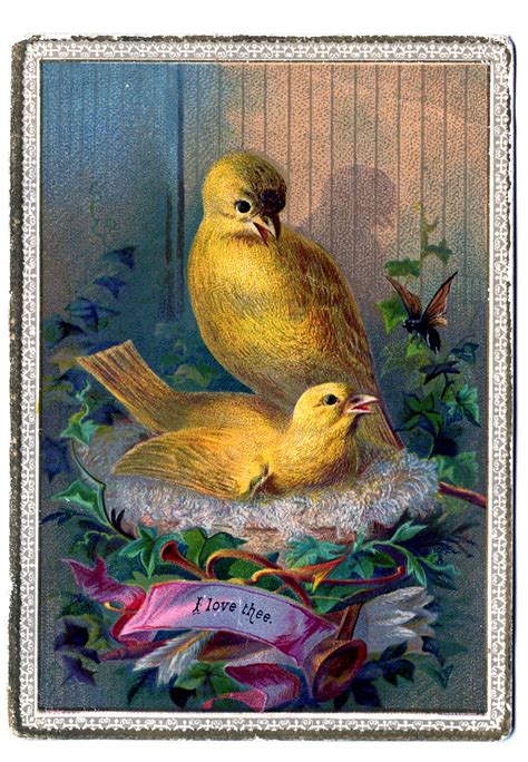 Vintage Clip Art Darling Canary Birds On Nest The