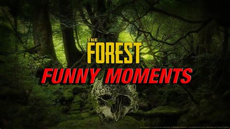 naked and afraid the forest funny moments youtube