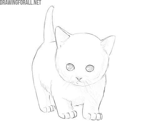Kitten Chibi Cute Cat Drawing Yuuki Wallpaper