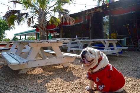 The 2024 Visitor Guide to Athens, Georgia: Eat, Stay & Play