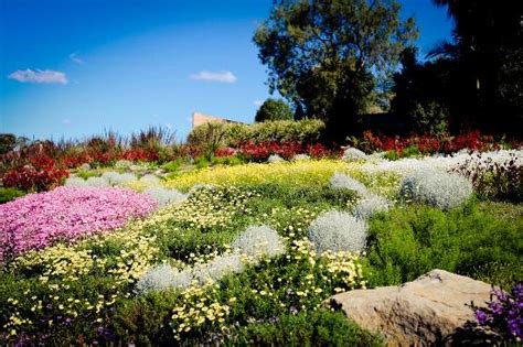 The Australian Botanic Garden (Mount Annan) - 2020 All You Need to Know Before You Go (with
