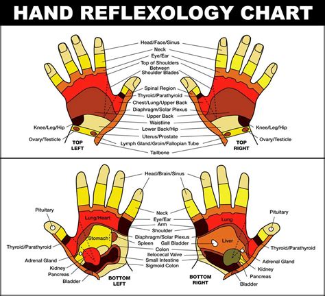 Hand Reflexology I Use To Get Rid Of Headaches Reflexology Chart Hand Reflexology Reflexology