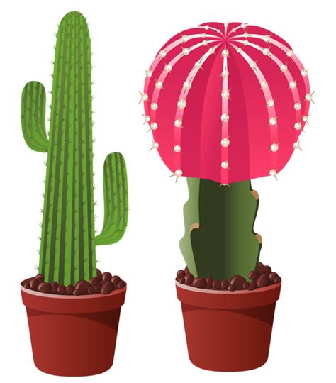 Flowering Cactus Clipart 20 Free Cliparts Download Images On
