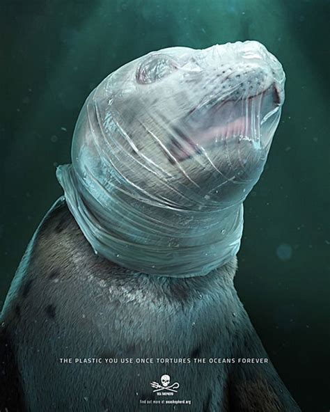 Plastic Horror Horrific Pictures Show Crisis In Marine Pollution Nature News Uk