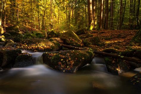 4k 5k Germany Dresden Autumn Parks Stones Foliage Stream