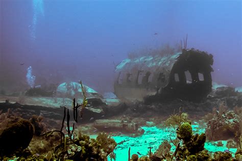 Best Nassau Scuba Diving Sites And Nassau Shark Dives