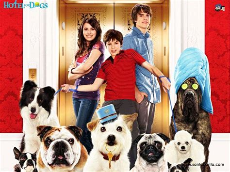 Hotel For Dogs Movie Wallpapers Wallpaper Cave