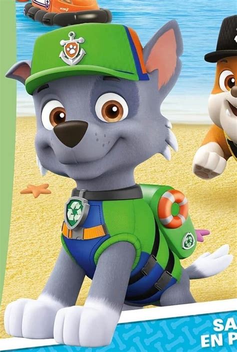 Sea Patrol Rocky By Connorneedham On Deviantart Paw Patrol Rocky Paw