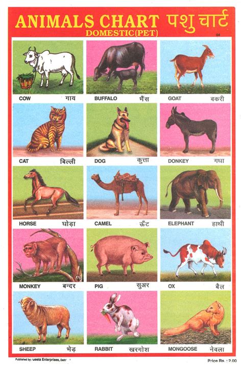 Indian Animals Chart Poster Indian Animals Pet Cows Animal Humor Dog