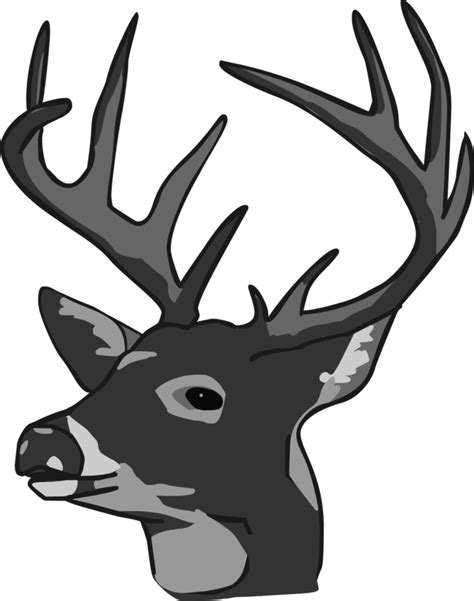 White Tailed Deer Reindeer Elk Clip Art Doe Head Cliparts Png