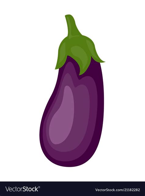 Colorful Eggplant Isolated On Royalty Free Vector Image Eggplant