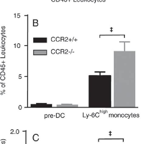 Ly 6c High Monocytes Accumulate In The Bone Marrow Of Ccr2 Mice With