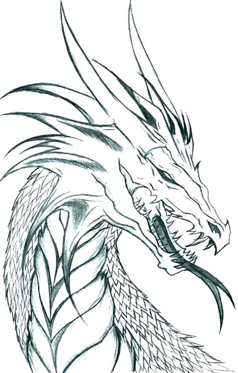 Printable Realistic Dragon Coloring Pages Customize And Print