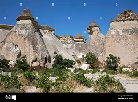 Fairy Chimneys Hoodoos In Göreme National Park Cappadocia Nevşehir