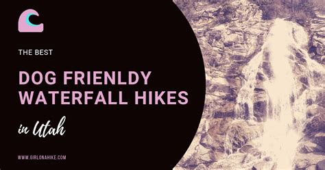 The Best Dog Friendly Waterfalls Hikes In Utah Waterfall