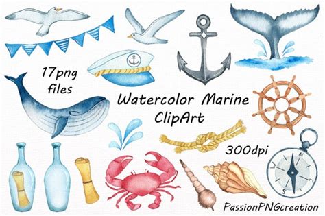 Watercolor Marine Clipart Nautical Watercolor Clip Art Png