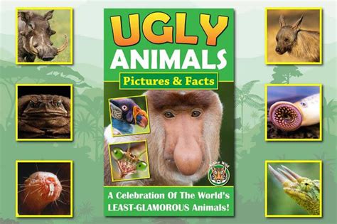 Ugly Animals List With Pictures And Facts The Worlds Ugliest Species