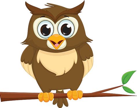 Cartoon Of A Owl Big Eyes Clip Art Vector Images And Illustrations Istock