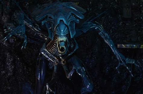Neca Announces The Return Of The Aliens Xenomorph Queen Figure