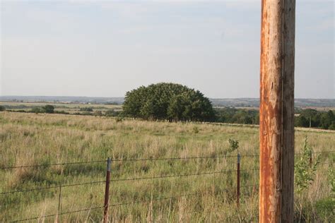 Langston Oklahoma Prairie Tree Formation Flickr