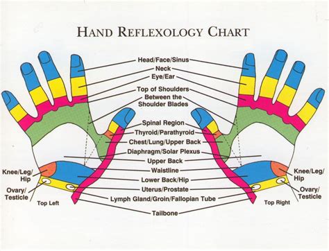 30 Hand And Foot Reflexology Chart Example Document Template