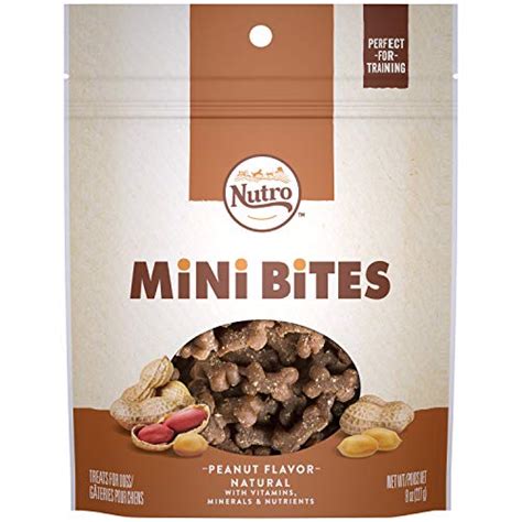 Nutro Crunchy Dog Treats With Real Peanut Butter 16 Oz Bag Maercsi
