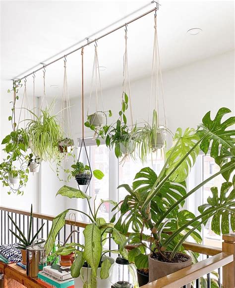 House Plant Club On Instagram Yall Are So Clever With Your Plant