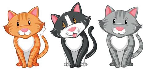 Three Cats Illustrations Royalty Free Vector Graphics
