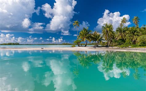 Sea Tropical Climate Palm Tree Tranquility Beach Reflection