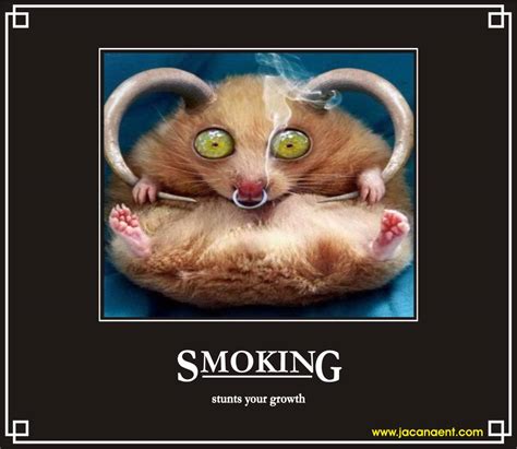 Funny Quotes About Smoking Quotesgram