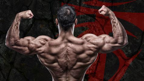 The 10 Best Ways To Build Your Back