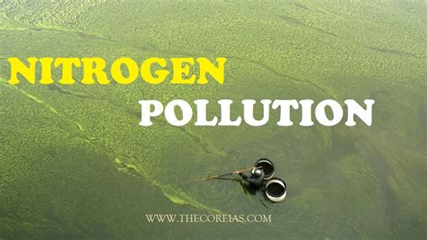 Nitrogen Pollution Youtube