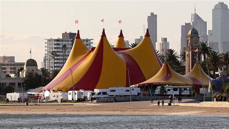 See 753 reviews, articles, and 526 photos of nikulin moscow orchestra. Great Moscow Circus still waiting for show go-ahead ...