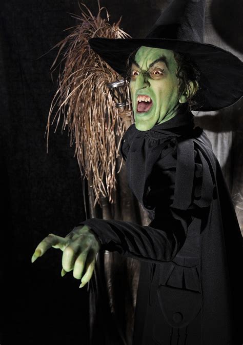 Wicked Witch Of The West Custom Costume