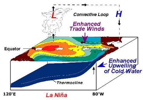 Study Notes On El Niño And La Nina
