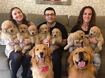 Family portrait goals!😍 | Cute animals, Baby dogs, Funny animals