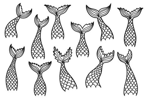 Hand Drawn Silhouette Mermaid Tail Vector Stock Vector Royalty Free