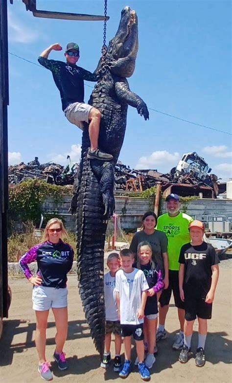 massive 920 pound alligator caught in central florida we were just in awe