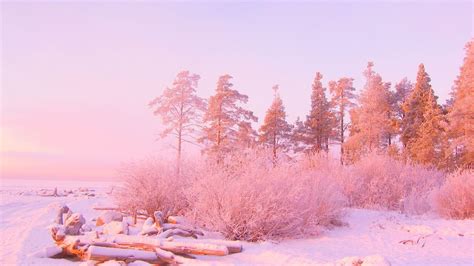 Check spelling or type a new query. Landscape wallpaper, Pink wallpaper backgrounds, Pink wallpaper desktop