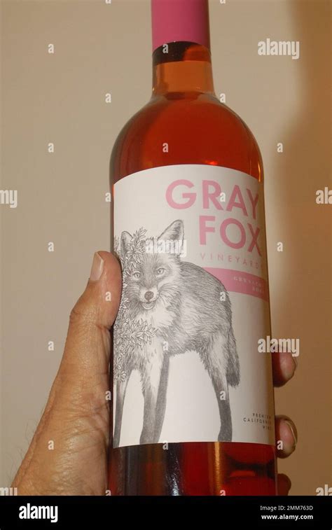 Copenhagendenmark29 January 2023 Grany Fox Grenache Rose Wine Fromn