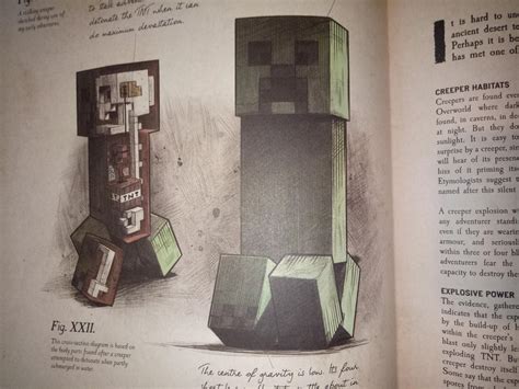Have You Wonder What Was Inside The Creepers Body Well Rminecraft