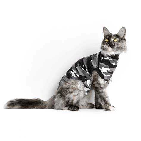 *elastic collar is comfortable for your cat. RECOVERY SUIT CAT - Suitical