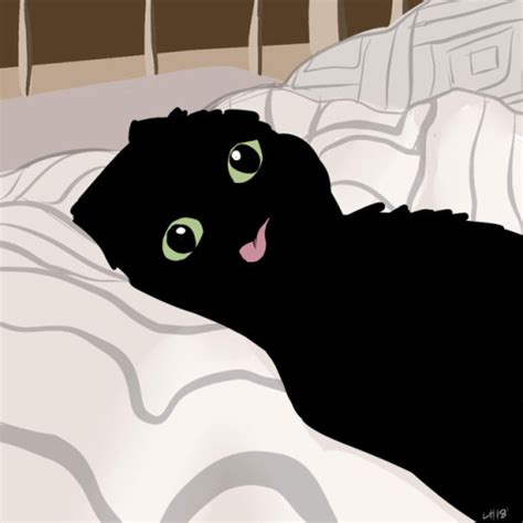 1920x1080 cats full hd wallpapers download 1080p desktop backgrounds. cursed image meme | Tumblr