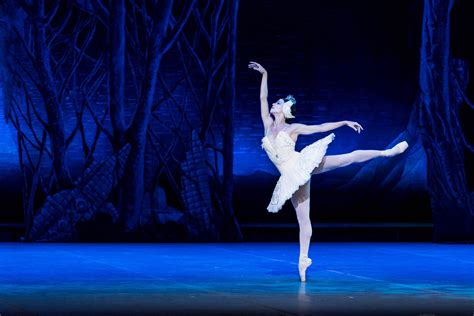 La Reina De Los Cisnes Del Ballet Nacional De Cuba Opera World