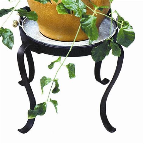 Winston Porter Drumnagee Plant Stand And Reviews Wayfair