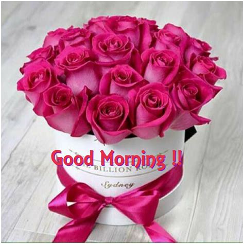 It is wonderful to send good morning quotes to your loved one to show them that you care. Good morning my beautiful sweetheart I hope you had a good ...
