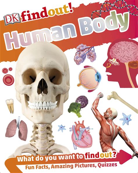 Dkfindout Human Body By Dk Penguin Books Australia