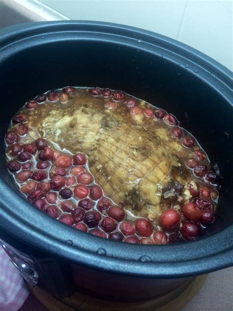 Roasted Turkey With Cranberries And Gravy Slow Cooker Central