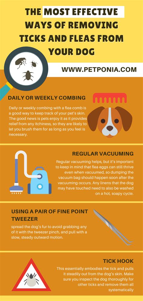 What To Do If Your Pet Has Fleas Or Ticks In 2021 Tick Removal Fleas